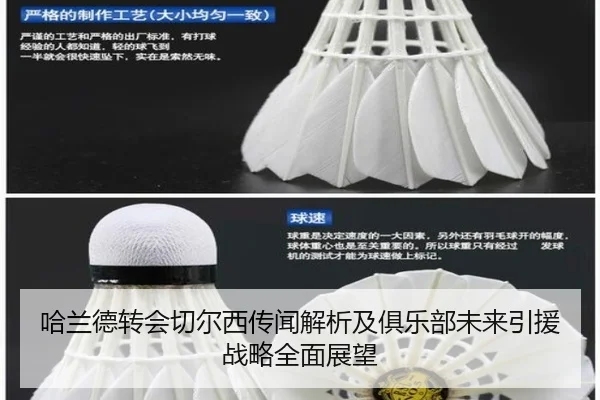哈兰德转会切尔西传闻解析及俱乐部未来引援战略全面展望 - QMH Sports